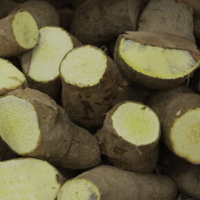 Yellow Yam