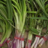 Escallion