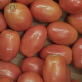 Tomato
