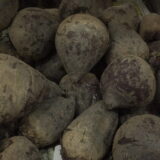 Beets